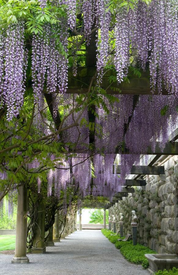 Village Hotel On Biltmore Estate Asheville Bagian luar foto